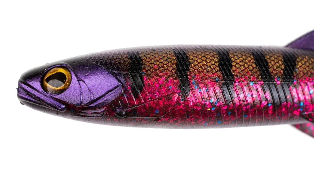 Bullteez Shad - 24 cm