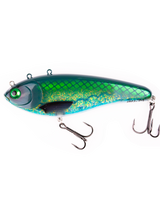Mr. Clive (15cm) - Blue Cisco