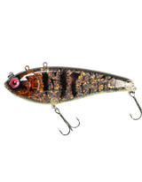 Mr. Clive (17cm) - Grällen