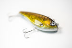 Mr. Clive (17cm) - Lekbraxen