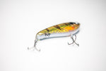 Mr. Clive (15cm) - GlitterBorren