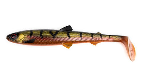 BullTeez shad 24 cm - Motorborren