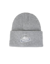 FWP Beanie - Grey