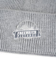 FWP Beanie - Grey