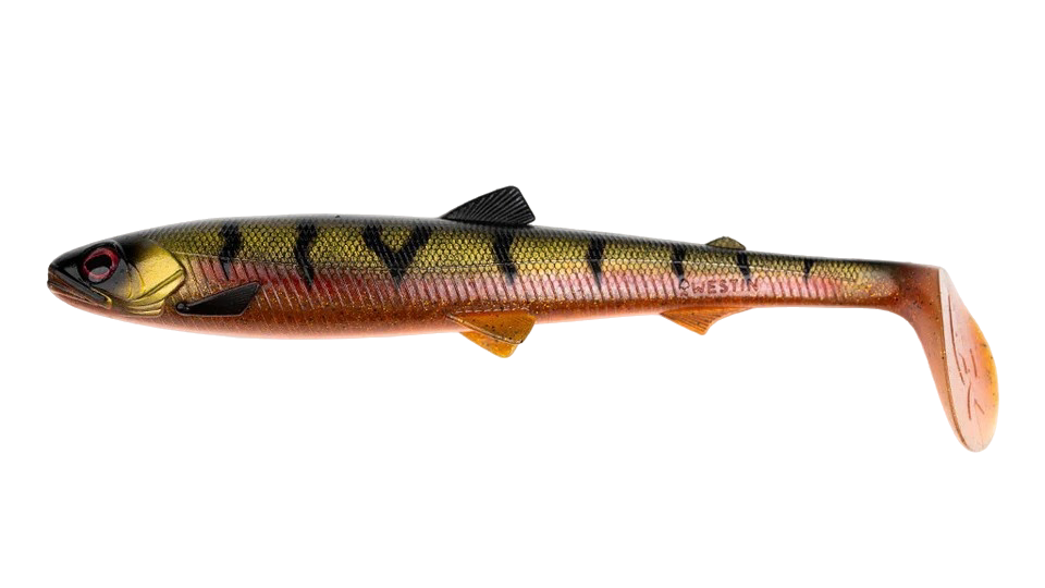 Bullteez Shad - 24 cm