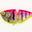 Discoflamingo